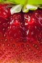 Art Background Summer Strawber...