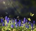 Art Spring Flowering Meadows