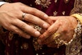 Asian Wedding