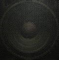 Audio Speaker