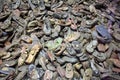 Auschwitz - shoes