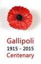 Australian Gallipoli Centenary, WWI, April 1915, tribute with red poppy lapel pin badge