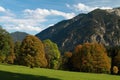 Autumn