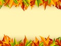 Autumn Background