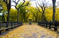 Autumn Beauty In Central Park ...