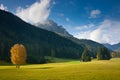 Autumn Fields