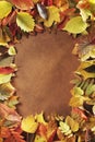 Autumn Frame