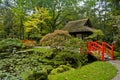 Autumn In Japanese Garden
