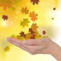Autumn Leaves