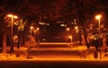 Autumn In Park