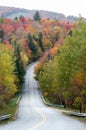 Autumn Road