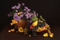 Autumn Still Life