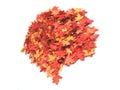 Autumn Time