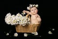 Baby in daisies