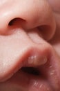 Baby Mouth Macro