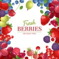 Background With Berries