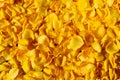 Background Of Petals