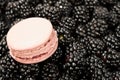 Background With Ripe Blackberr...