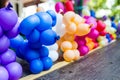 Balloon Animal.