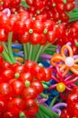 Baloon Flowers