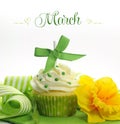 Beautiful green and yellow Spring theme cupcake with doffodils and decorations for the month of March