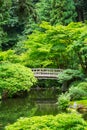 Beautiful Japanese Garden