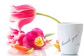 Beautiful Tulips In A Vase Wit...