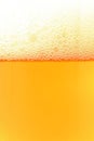 Beer Background