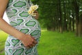 Belly Of A Pregnant Woman On T...