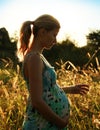 Belly Of A Pregnant Woman On N...