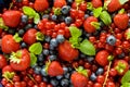Berries Background