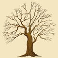 Big Tree Vector Illustration