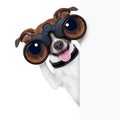 Binoculars Dog