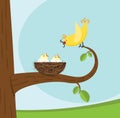 Bird Family
