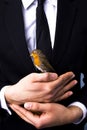 Bird In Hand