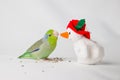 Bird Meets Snowman