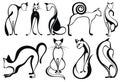 Black cat silhouette collections for your design Stock Photography