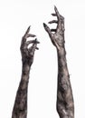 Black hand of death, the walking dead, zombie theme, halloween theme, zombie hands, white background, mummy hands