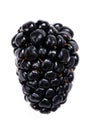 Blackberry Macro