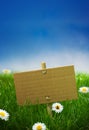 Blank Sign Green Garden Backgr...
