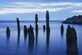 Blue Hour Sea Landscape