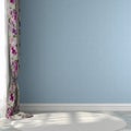 Blue Wall With Colored Curtains