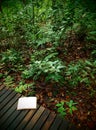 Book On Rainforest Trail, Natu...