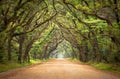 Botany Bay Spooky Dirt Road Cr...