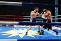 Boxing Match for the WBS Mediteranean Title