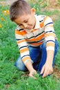 Boy Explores The Nature