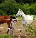 Boy And Horse