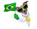 Brazil  fifa world cup  dog