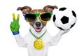 Brazil  fifa world cup  dog