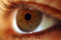 Brown Eye